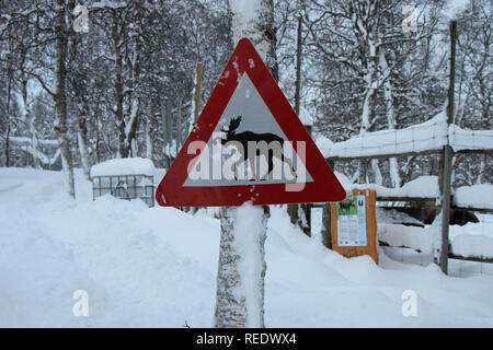 Moose Crossing sign Stock Photo