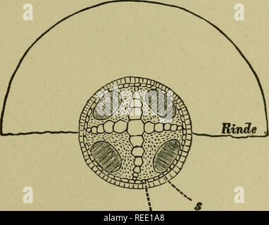 . A Compendium Of General Botany. Plants. TISSUES AND SIMPLE ORGANS. 79 ...