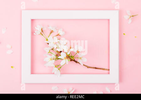 Cherry blossom branch inside an empty pink picture frame on a pink background. Flat lay Stock Photo