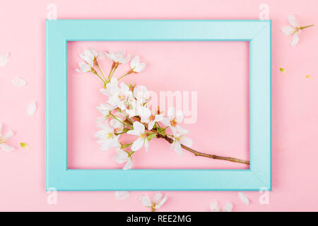 Cherry blossom branch inside an empty turquoise picture frame on a pink background. Flat lay Stock Photo