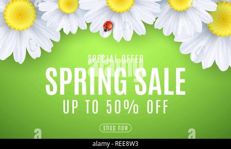 Spring sale banner. Ladybug creeps on the flowers. Realistic daisies. Seasonal design for your business. Water drops. Special offer. Gift card. Vector Stock Vector