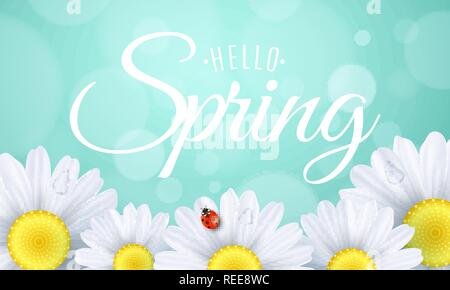 Hello spring gift card. Seasonal modern banner for your design. Ladybug creeps on the flowers. Realistic daisies. Lights bokeh. Calligraphy and letter Stock Vector