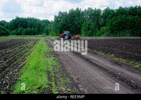 Verhovina, Russia - June 30, 2017: Farmer with tractor seeding - sowing crops at agricultural fields Stock Photo