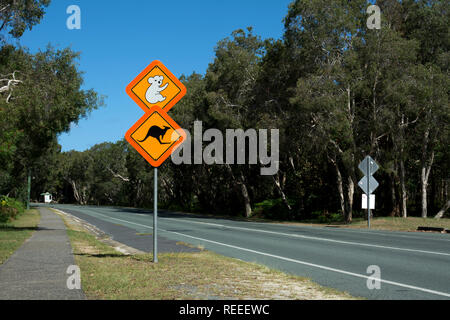 Koalas and kangaroos warning road sign, North Stradbroke Island, Queensland, Australia Stock Photo