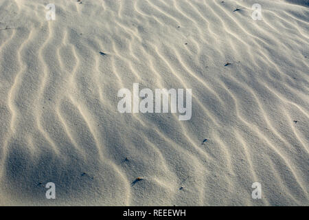 Patterns in sand on a beach, North Stradbroke Island, Queensland, Australia Stock Photo