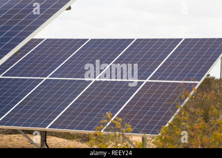 solar energy, photovoltaic, panel close up in nature using the sun to convert energy into electricity for green living in South Africa Stock Photo