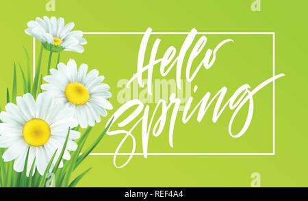 Spring background with daisies and fresh green grass. Hello Spring handwriting Lettering. Vector illustration Stock Vector