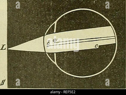 . Compendium der Physiologie des Menschen. Human anatomy; Physiology. . Please note that these images are extracted from scanned page images that may have been digitally enhanced for readability - coloration and appearance of these illustrations may not perfectly resemble the original work.. Fick, Adolf, 1829-1901. Wien : W. Braumüller Stock Photo