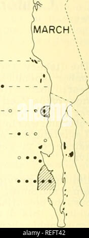 . Commercial fisheries review. Fisheries; Fish trade. . Please note that these images are extracted from scanned page images that may have been digitally enhanced for readability - coloration and appearance of these illustrations may not perfectly resemble the original work.. United States. National Marine Fisheries Service; U. S. Fish and Wildlife Service; United States. Bureau of Commericial Fisheries. [Washington] : National Marine Fisheries Service; [for sale by the Supt. of Docs. , U. S. Govt. Print. Off. ] Stock Photo