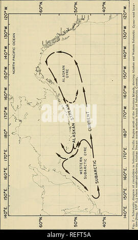 . Commercial fisheries review. Fisheries; Fish trade. 37. Please note that these images are extracted from scanned page images that may have been digitally enhanced for readability - coloration and appearance of these illustrations may not perfectly resemble the original work.. United States. National Marine Fisheries Service; U. S. Fish and Wildlife Service; United States. Bureau of Commericial Fisheries. [Washington] : National Marine Fisheries Service; [for sale by the Supt. of Docs. , U. S. Govt. Print. Off. ] Stock Photo