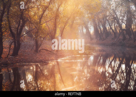 Sunlight shining through the trees on the banks of beautiful river in autumn Stock Photo