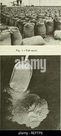 . Commercial fisheries review. Fisheries; Fish trade. Fig. 2 -FPC.. Please note that these images are extracted from scanned page images that may have been digitally enhanced for readability - coloration and appearance of these illustrations may not perfectly resemble the original work.. United States. National Marine Fisheries Service; U. S. Fish and Wildlife Service; United States. Bureau of Commericial Fisheries. [Washington] : National Marine Fisheries Service; [for sale by the Supt. of Docs. , U. S. Govt. Print. Off. ] Stock Photo