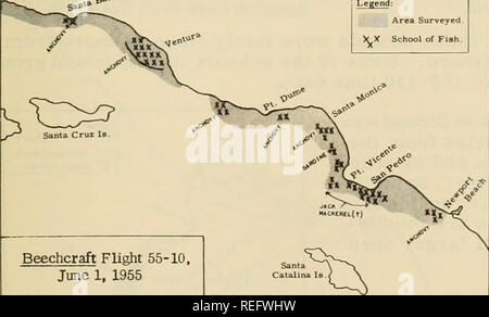 . Commercial fisheries review. Fisheries; Fish trade. September 1955 COMMERCIAL FISHERIES REVIEW 47 tracted to the night light ancl captured with both a dip net and the blanket net. Anchovies and jack mackerel were sampled from San Diego south to Turtle Bay and Pacific mackerel from San Diego to Scammon's Lagoon. The scouting work conducted in conjunction with the airplane corroborated our observations that the heaviest concentration of fish in the Baja California region scouted was between Cape Colnett and San Quintin Bay. Blanket net sampling proved these fish to be both juvenile and adult n Stock Photo