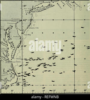 . Commercial fisheries review. Fisheries; Fish trade. 10. Whale Observations. Please note that these images are extracted from scanned page images that may have been digitally enhanced for readability - coloration and appearance of these illustrations may not perfectly resemble the original work.. United States. National Marine Fisheries Service; U. S. Fish and Wildlife Service; United States. Bureau of Commericial Fisheries. [Washington] : National Marine Fisheries Service; [for sale by the Supt. of Docs. , U. S. Govt. Print. Off. ] Stock Photo