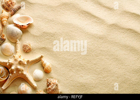Top view sand dunes with seashells and starfish as blank background ...
