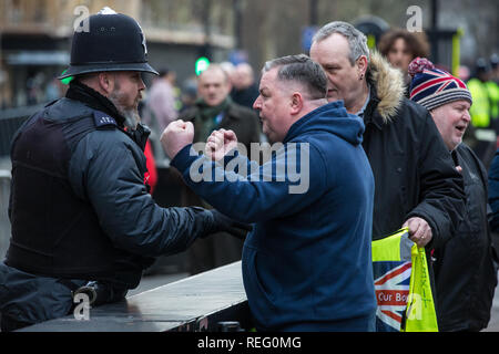 London, UK. 21st January, 2019. Supporters of Yellow Vests UK confront a Remainer (out of picture) outside the Houses of Parliament, Credit: Mark Kerrison/Alamy Live News Stock Photo