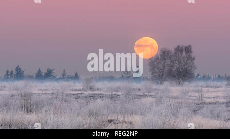 Ede, Netherlands, 21st January, 2019, After the lunar eclipse had ended, the full super moon set just before sunrise. After a night with -8 degrees Centrigrade the landscape was covered in white frost. Credit: Fred van Wijk/Alamy Live News Stock Photo