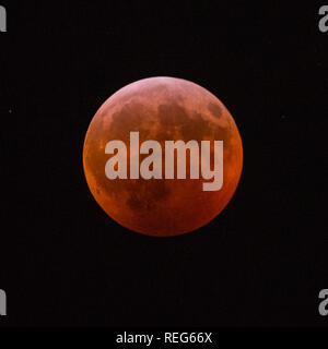 New York, USA. 20th Jan 2019. A Super Blood Wolf Moon seen from New York during a total lunar eclipse on January 21, 2019. Credit: Erik Pendzich/Ģ����ý Live News Stock Photo