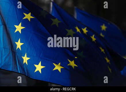 London, UK. 22nd Jan, 2019. Photo taken on Jan. 22, 2019 shows the EU flags outside the Houses of Parliament in London, Britain. British Prime Minister Theresa May said on Monday that she would not back a no-deal Brexit or delay the country's departure from the European Union (EU). May made the remarks while addressing lawmakers in the House of Commons to outline her latest proposals for Britain's departure from EU. Credit: Han Yan/Xinhua/Alamy Live News Stock Photo