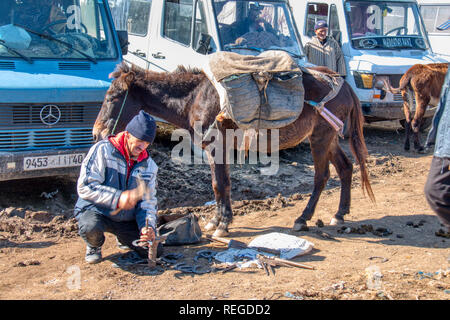 Oued Laou, Chefchaouen, Morocco - November 3, 2018: Man working the horseshoes of the donkeys in the street market that is installed on Saturdays Stock Photo