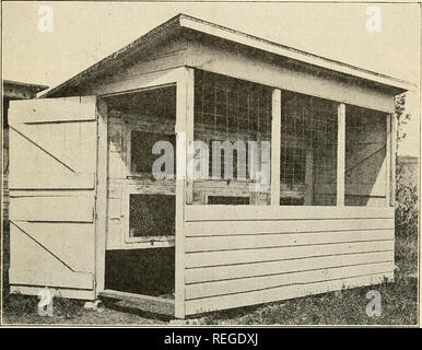 . Common sense rabbit raising Rabbits. Light Steel Gray Flemish Doe