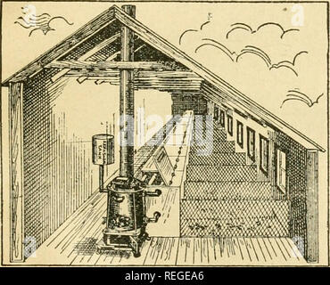 . Common sense on poultry raising;. Poultry. No niachiue can make good hatches from poor eggs—those lacking iu fertility or high egg quality. No machine can hatch chicks strong enough to live if not properly brooded afterwards. A hen could not do it, and a machine can't do it either. Few people there are who do not have to learn by hard experience that brooding the chicks is the greater science of the two, and must be mastered before any great degree of success is assured. There is one secret of success which must be known before any work on an enlarged scale can be entered into with full meas Stock Photo