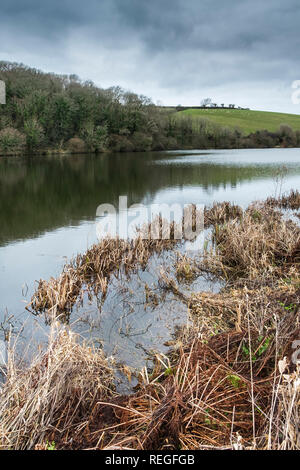 Porth Reservoir in Cornwall. Stock Photo