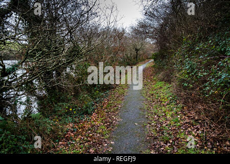 A footpath around Porth Reservoir in Cornwall. Stock Photo
