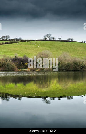 Reflection in the still water in Porth reservoir in Cornwall. Stock Photo