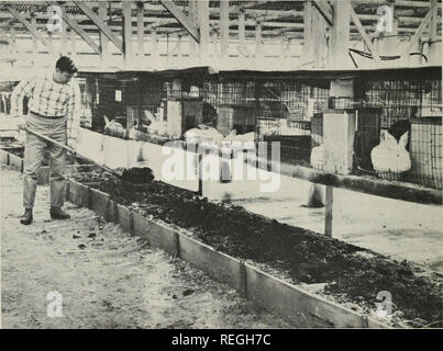 commercial rabbit supplies