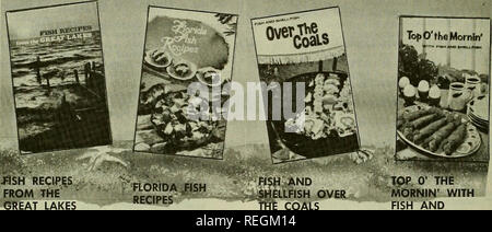 . Commercial fisheries review. Fisheries; Fish trade. 76 Exciting B.C.F. Recipe Available from the. RECIPES FROM Thf&quot;^ â SREAT LAKES The Greot Lakesâwaler- way to the Heart of Amer- icaâhave spawned some of Ihe tastiest fish that ever nourished and pleased mankind. From their cold depths have come white- fish, king of fresh-water fish; lake trout, regal am- bassador of rich taste; yel- low perch, delicate fillets unsurpassed in flavor; and smelt, silvery slips in the water and savory slivers on a platter. In Fish Rec- ipes from the Great Lakes, the Bureau of Commercial Fisheries has creat Stock Photo