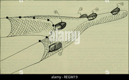 . Commercial fisheries review. Fisheries; Fish trade. 23 reactions and  providing a basis for future commercial trawl design. These various  configurations were not intended to operate as commercial trawls. Retaining  Covers As noted earlier, shrimp had been