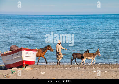 Oued Laou, Chefchaouen, Morocco - November 3, 2018: A young man in traditional Moroccan attire walks his donkeys on the beach of Oued Laou. Stock Photo