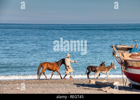 Oued Laou, Chefchaouen, Morocco - November 3, 2018: A young man in traditional Moroccan attire walks his donkeys on the beach of Oued Laou. Stock Photo