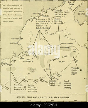 Commercial fisheries review. Fisheries; Fish trade. FOREIGN