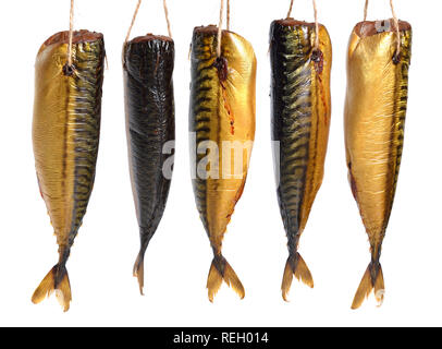 Smoked Scomber fish isolated on white background. Stock Photo