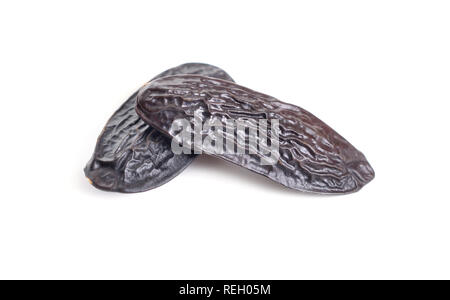 Dried tonka beans isolated on white background. Stock Photo