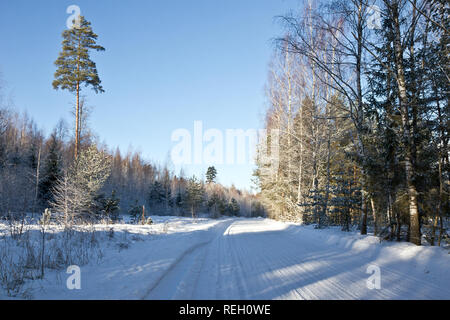 Sunny winter day near Ogre, Latvia Stock Photo