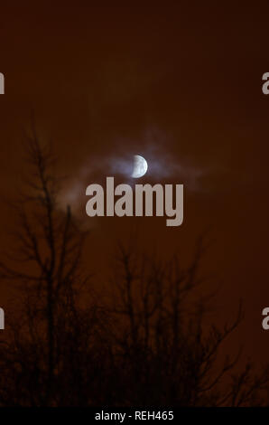 Moon eclipse in full moon. Super blue bloody moon over tree silhouette on night sky background. The beginning of the lunar eclipse. Earth's shadow fal Stock Photo