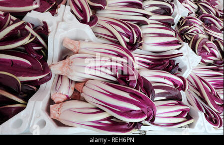 box full of Red Radicchio also called Radicchio Tardivo in italian language for sale Stock Photo