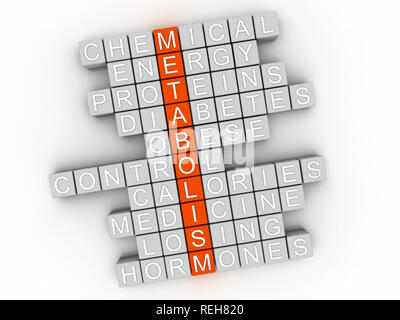 3d Metabolism word cloud concept - Illustration Stock Photo