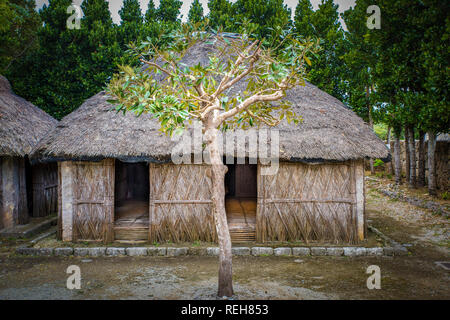 Native (Original) Okinawan Village, Japan Stock Photo