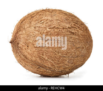 single whole coconut isolated on white background Stock Photo