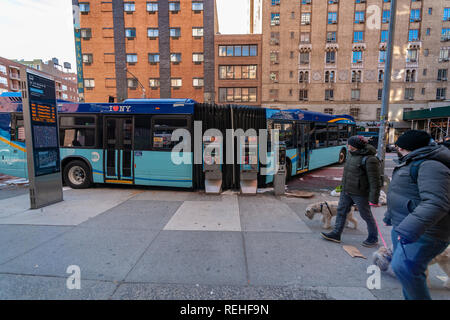 An MTA articulated bus, part of the Select Bus Service route, is wedged into the Select Bus Service ticket vending machines on West 23rd Street in the Chelsea neighborhood of New York on Friday January 11, 2019. (Â© Richard B. Levine) Stock Photo