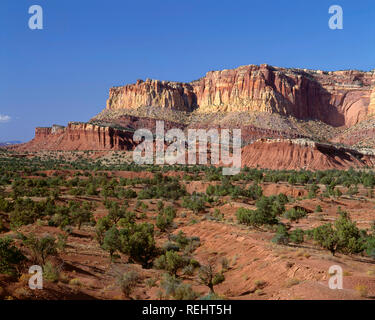 USA, Utah, Capitol Reef National Park, Rugged cliffs form the western face of the Waterpocket Fold near Grand Wash. Stock Photo