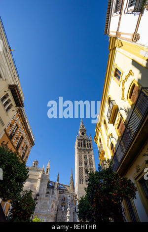 View of the Giralda tower in Plaza Virgen de Los Reyes seen from Calle Mateos Gogo in the Santa Cruz district of Seville, Spain Stock Photo