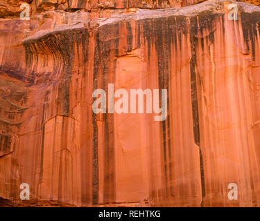 USA; Utah; Capitol Reef National Park; Mineral stained sandstone walls in Grand Wash. Stock Photo