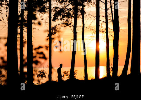 Dark silhouette of young man running in nature park next to beach during bright, warm sunset. Romantic evening in nature. Concept of healthy, active l Stock Photo