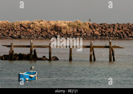 Heron perched on rowing boat moored on the River Coquet, Amble, Northumberland Stock Photo