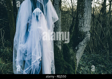 A ghostly hooded figure holding a sheep skull in a winter woodland, With a cold, muted edit. Stock Photo